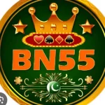 BN55 game