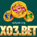 X03 game