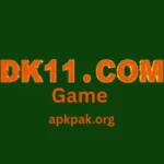 DK11 Game