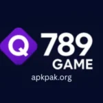 Q789 Game