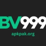 BV999 Game